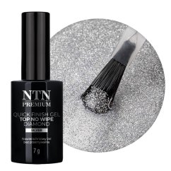 Top Quick Finish Gel Diamond no wipe NTN Silver 7g