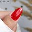 CLARESA RAINBOW JELLO BASE RED - 5g