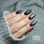 Gel lak NTN premium Show Collection 116