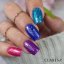 CLARESA RAINBOW JELLO BASE Marine - 5g