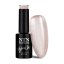 Gel lak NTN premium IMPRESSION 262