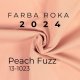 Seznámte se: Barva roku 2024 - Peach Fuzz